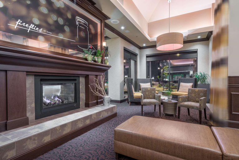 Public Area 3, Hilton Garden Inn Sioux City Riverfront, Dakota