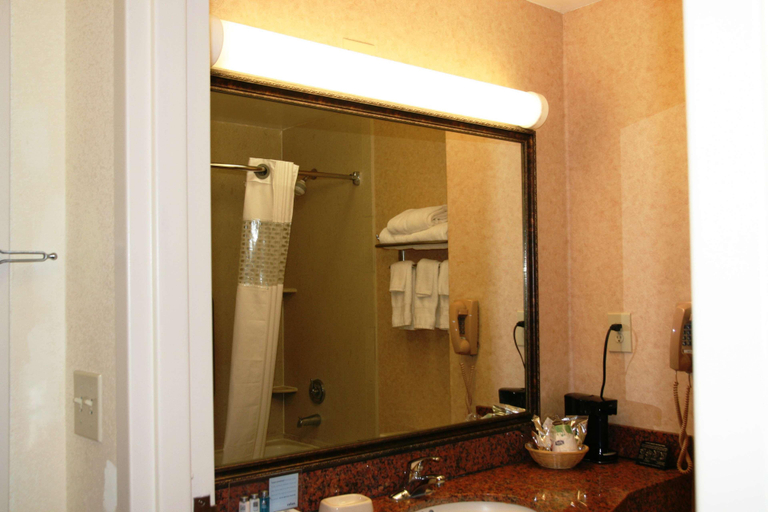 Bathroom 4, Hampton Inn Canton, Madison