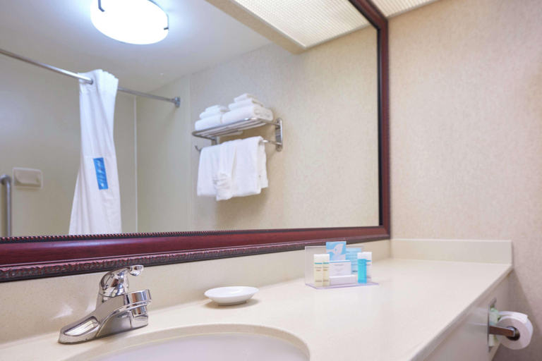 Bathroom 4, Hampton Inn Massillon, Stark