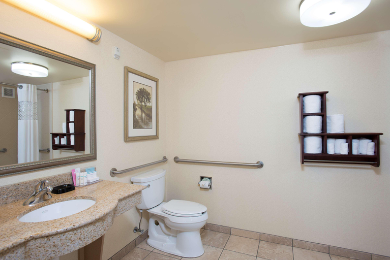 Bathroom 4, Hampton Inn & Suites Cincinnati-Union Centre, Butler