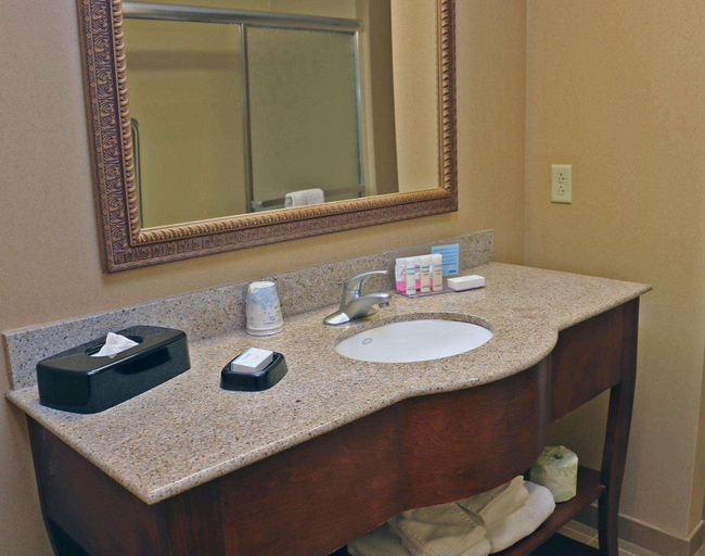 Bathroom 4, Hampton Inn & Suites Norfolk-Airport , Norfolk