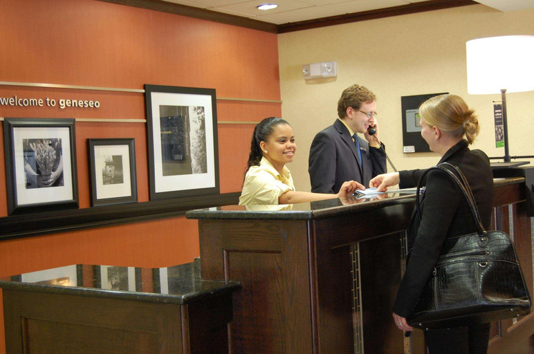 Public Area 2, Hampton Inn Geneseo, Livingston