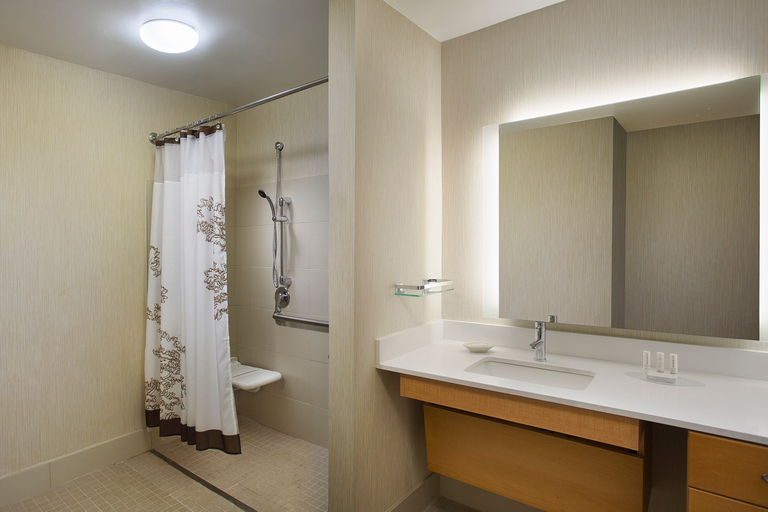 Bathroom 4, Residence Inn Detroit Novi, Oakland