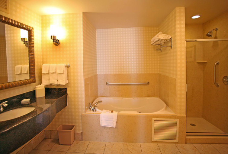 Bathroom 4, Hilton Garden Inn Cincinnati Blue Ash, Hamilton
