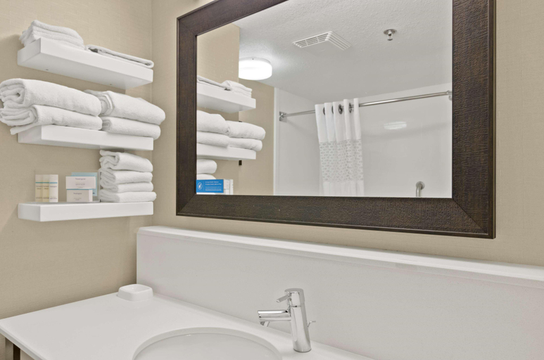 Bathroom 4, Hampton Inn Mount Dora, Lake