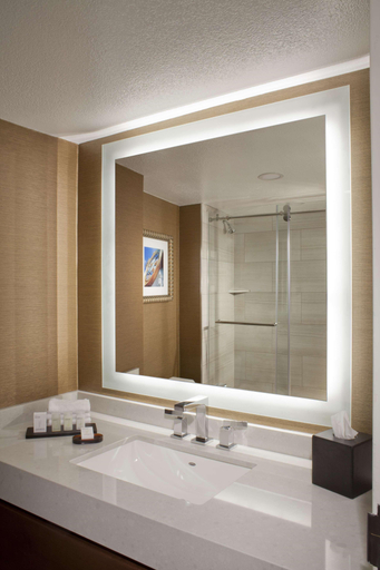Bathroom 4, Embassy Suites by Hilton Austin Arboretum, Travis