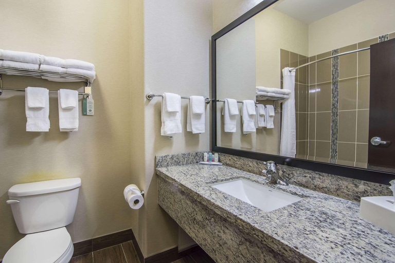 Bathroom 5, Comfort Inn & Suites, Division No. 11
