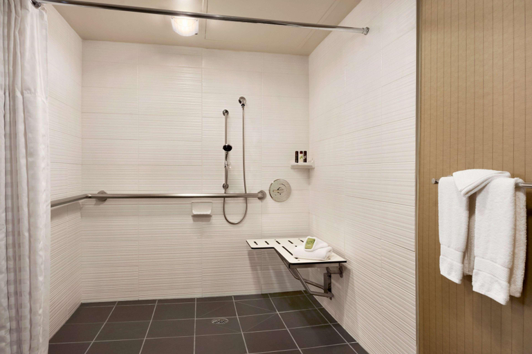 Bathroom 4, Embassy Suites Dallas - DFW International Aprt, Irving