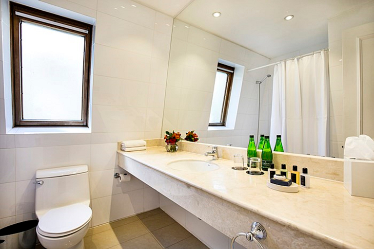 Bathroom 5, Park Plaza Bonaparte, Santiago