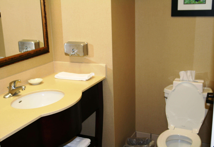 Bathroom 4, Hampton Inn Mt. Airy, Surry