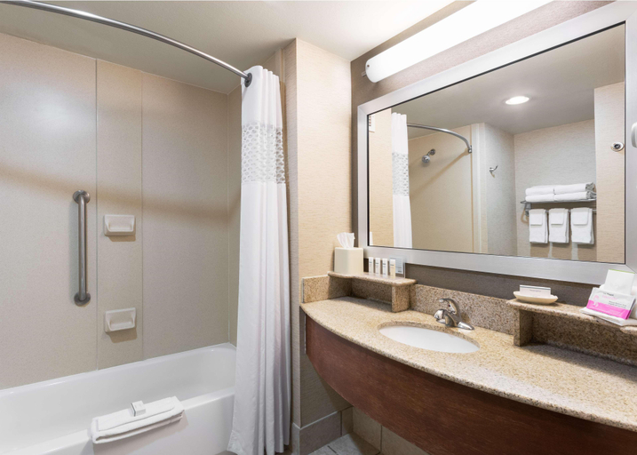 Bathroom 4, Hampton Inn by Hilton Odessa, Ector