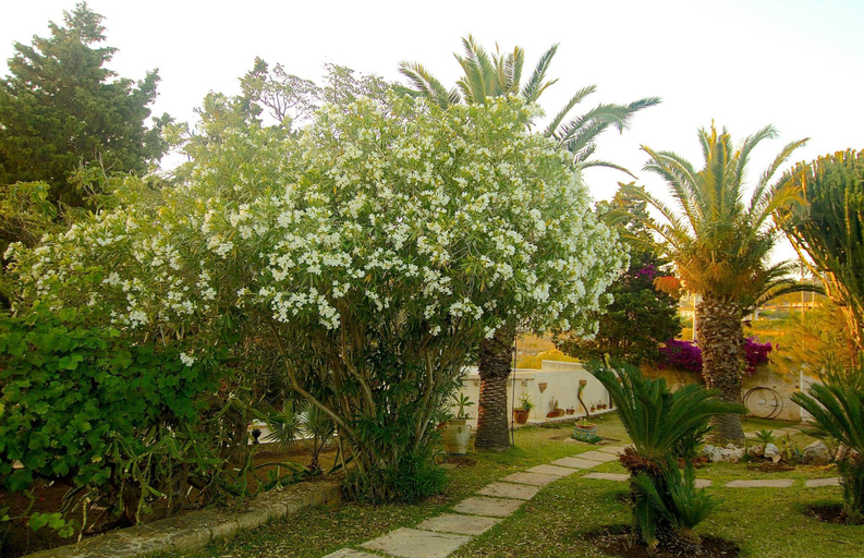 Public Area 4, La Rosa sul Mare, Syracuse