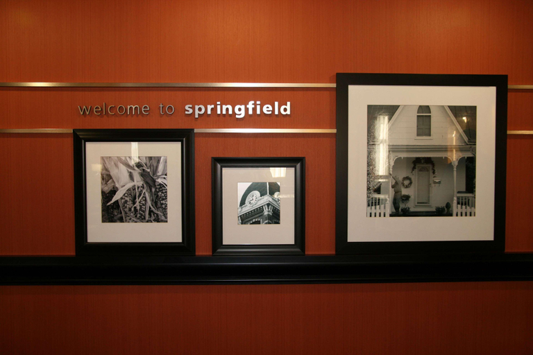 Public Area 2, Hampton Inn & Suites Springfield-Southwest, Sangamon