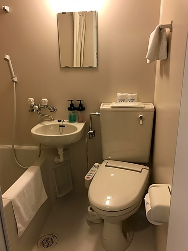 Bathroom 5, Sapporo Oriental Hotel, Sapporo