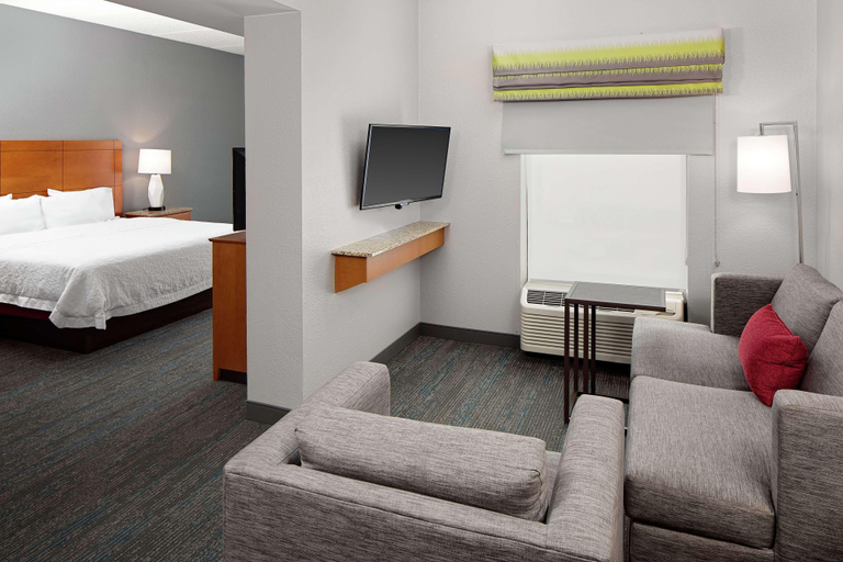 Public Area 4, Hampton Inn & Suites Houston Medical Center NRG Park, Houston