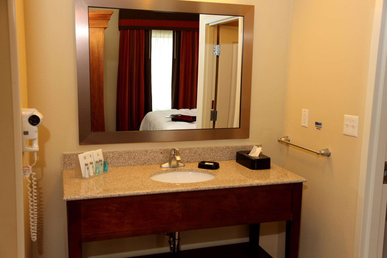 Bathroom 4, Hampton Inn & Suites Bastrop, Bastrop