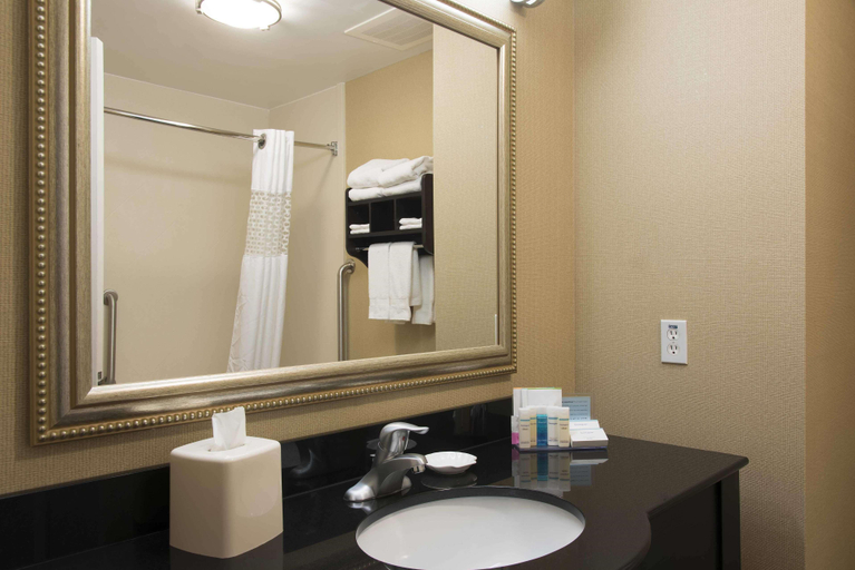 Bathroom 4, Hampton Inn & Suites Danville, Vermilion
