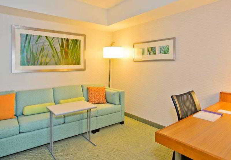 Public Area 3, Springhill Suites by Marriott Pittsburgh North Shore, Allegheny