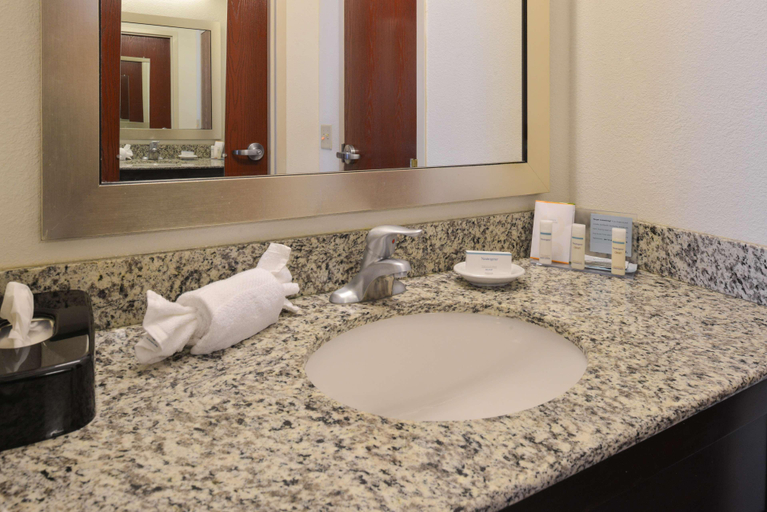 Bathroom 5, Comfort Inn & Suites Toledo North, Lucas