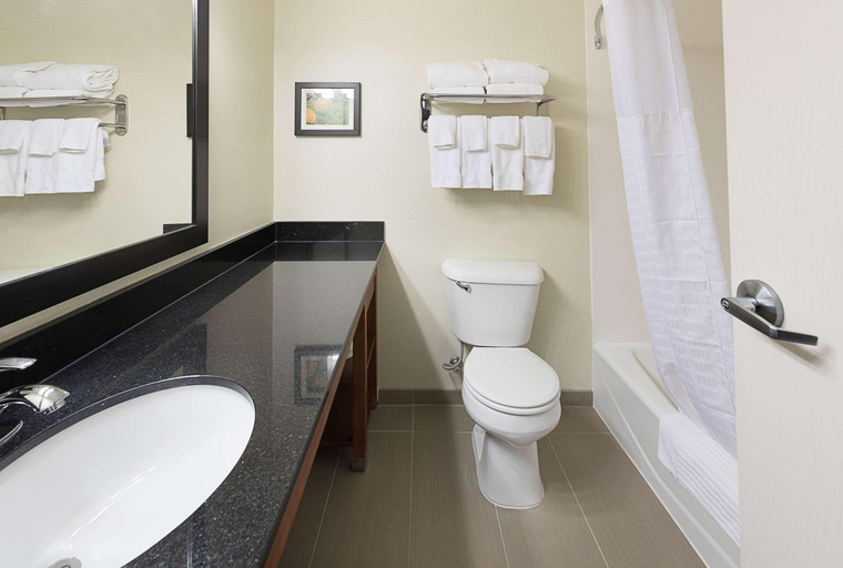 Bathroom 3, Comfort Suites Saginaw Area, Saginaw