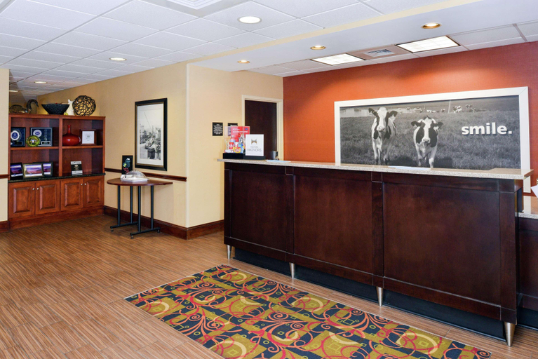 Public Area 3, Hampton Inn Waynesboro/Stuarts Draft, Augusta