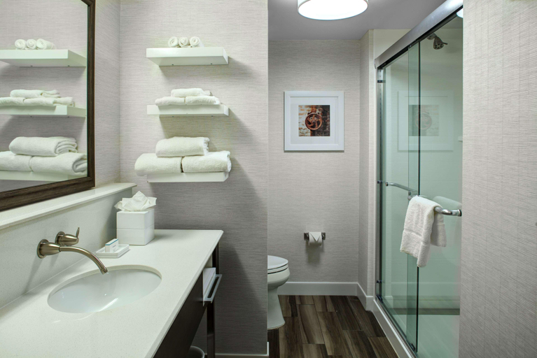 Bathroom 4, Hampton Inn & Suites Pittsburg Kansas Crossing, Crawford