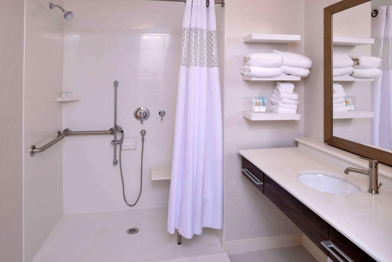 Bathroom 4, Hampton Inn & Suites Albany-East Greenbus, Rensselaer
