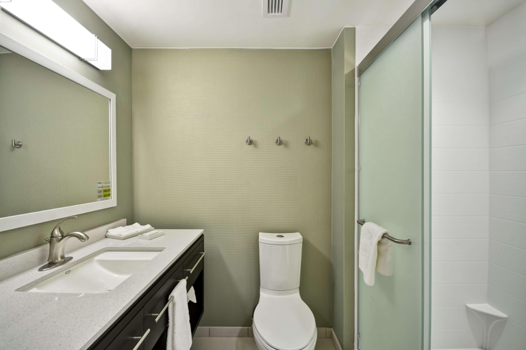 Bathroom 4, Home2 Suites By Hilton Maumee Toledo, Lucas