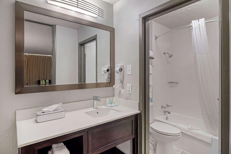 Bathroom 5, Quality Inn & Suites (Carteville), Bartow