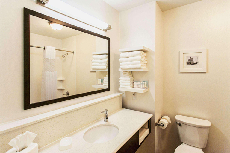 Bathroom 4, Hampton Inn Hibbing, Saint Louis