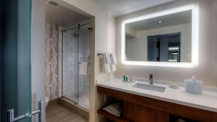 Bathroom 4, Hilton Norfolk The Main, Norfolk