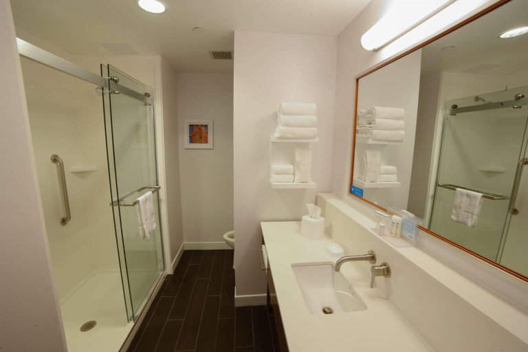 Bathroom 4, Hampton Inn & Suites Forest City, Rutherford