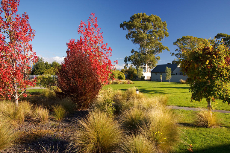 Public Area, Vintner's Retreat, Marlborough