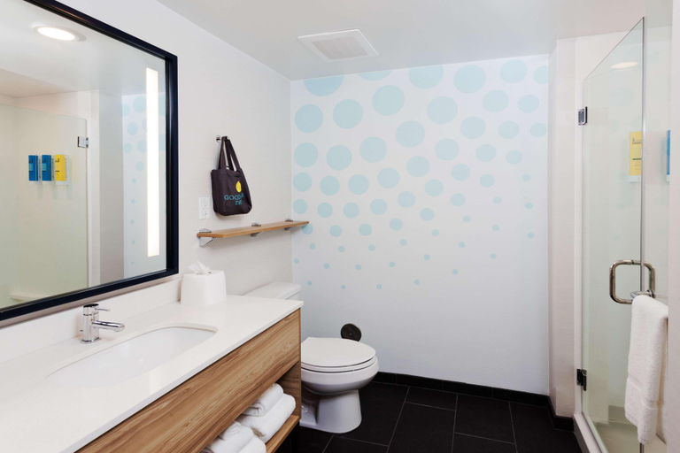 Bathroom 4, Tru by Hilton Auburn, Lee