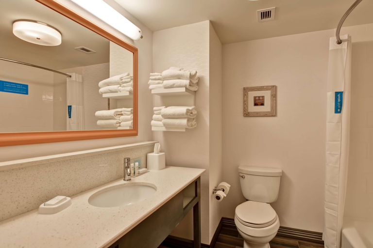 Bathroom 4, Hampton Inn By Hilton Atlanta Kennesaw, Cobb