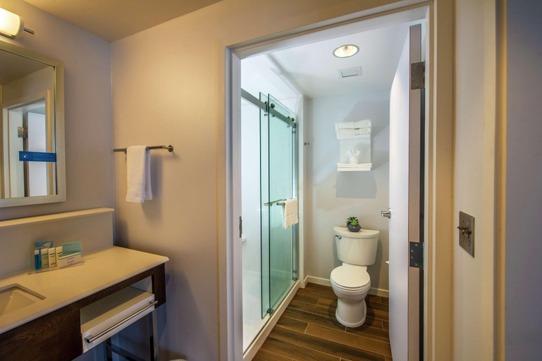 Bathroom 5, Hampton Inn & Suites Foxborough -Mansfield, Foxborough