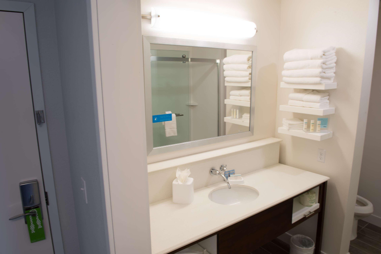 Bathroom 4, Hampton Inn & Suites Bay City, Bay