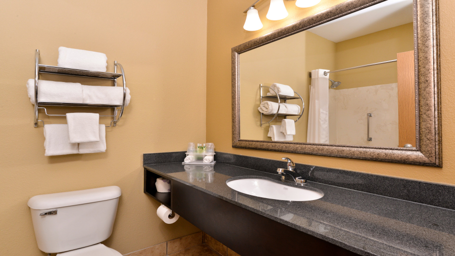 Bathroom, Comfort Inn & Suites Sharonville, Hamilton
