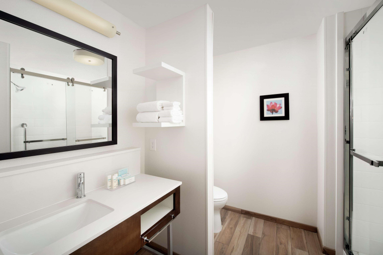 Bathroom 4, Hampton Inn Denver Tech Center South, Arapahoe