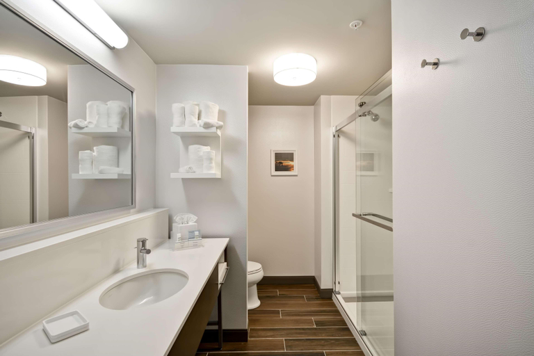 Bathroom 4, Hampton Inn & Suites Livonia Detroit, MI, Wayne