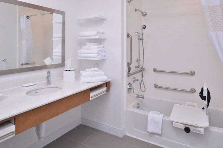 Bathroom 4, Hampton Inn & Suites Ame, Story