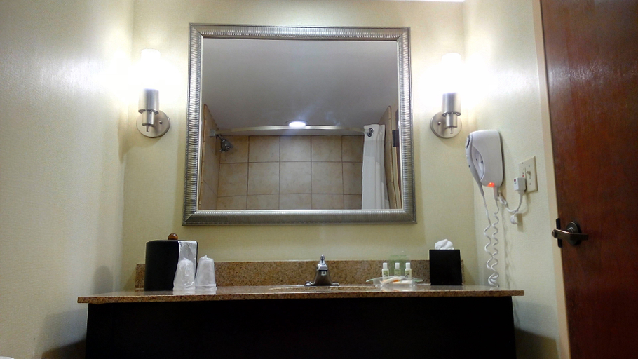 Bathroom 4, Holiday Inn Bristol Conference Ctr, Bristol