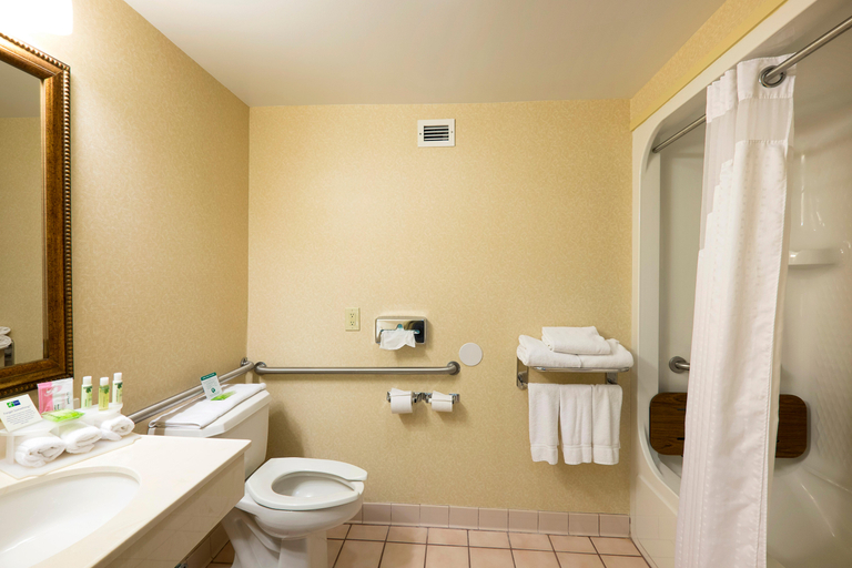 Bathroom 4, Wingate by Wyndham Waynesboro, Waynesboro