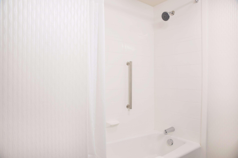 Bathroom 4, Hampton Inn Big Rapids, Mecosta