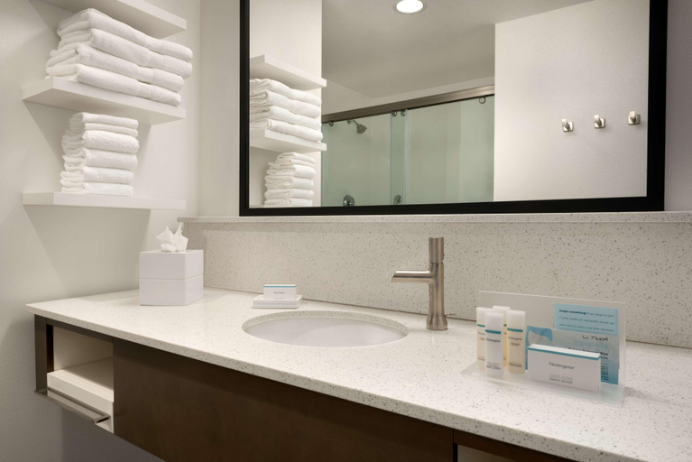 Bathroom 4, Hampton Inn Spring Hill, TN, Maury