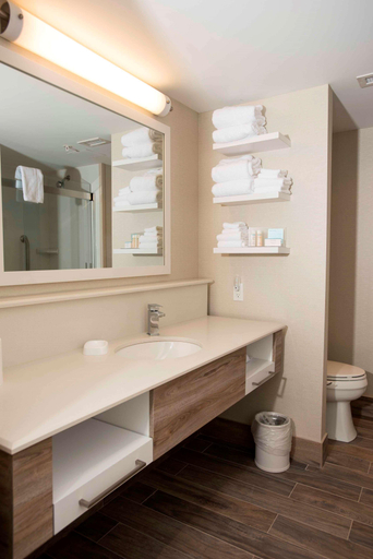 Bathroom 5, Hampton Inn & Suites by Hilton Thunder Bay, Thunder Bay