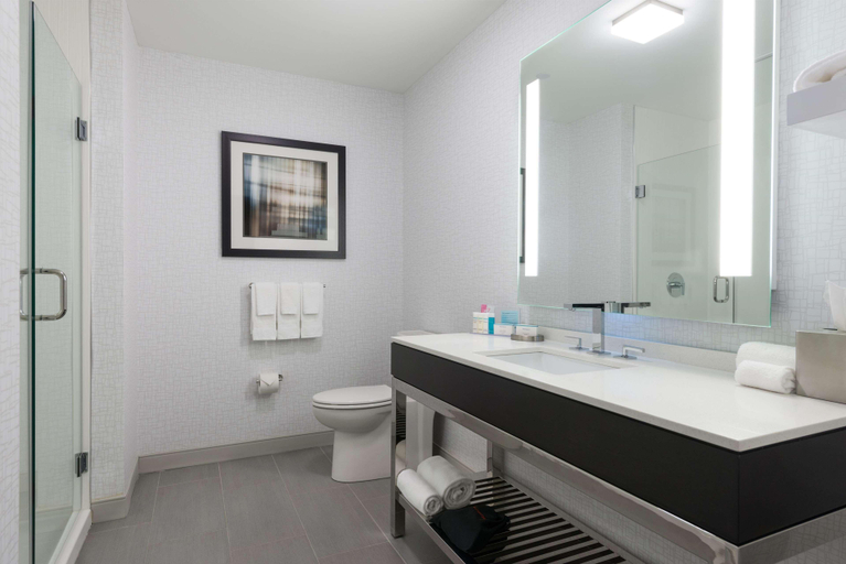 Bathroom 4, Hampton Inn & Suites Worcester, Worcester