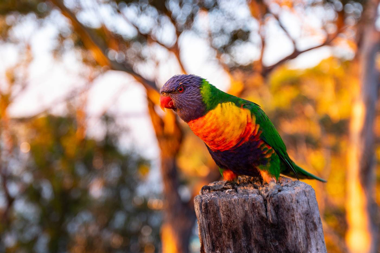 Jetty Road Retreat, E. Gippsland - Bairnsdale