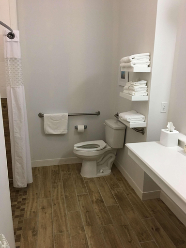 Bathroom 4, Hampton Inn Mcpherson, McPherson