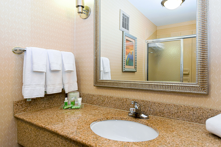 Bathroom 4, Southpark Hotel, Colonial Heights